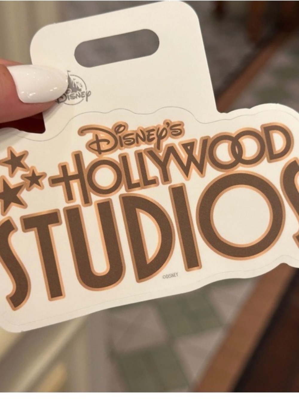 Disney Parks Vinyl Stickers- Hollywood Studios Decal